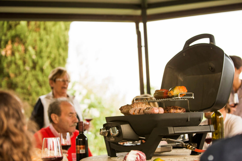 TravelQ PRO285 | Portable Gas Grill | 2 Burners | Cast Iron WAVE Grids | Cast Aluminum Lid | Ember BBQ Co UK