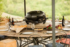 TravelQ PRO285 | Portable Gas Grill | 2 Burners | Cast Iron WAVE Grids | Cast Aluminum Lid | Ember BBQ Co UK