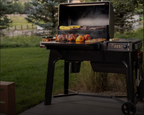 Traeger Woodridge